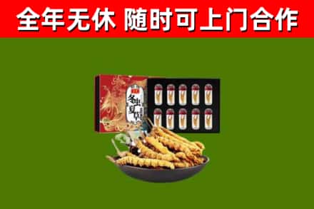 思明区烟酒回收冬虫夏草礼盒.jpg